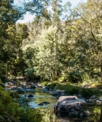 Aldeia de Couce - valongo