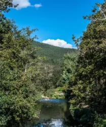 Aldeia de Couce - valongo