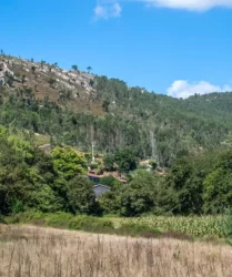 Aldeia de Couce - valongo