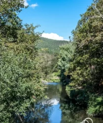 Aldeia de Couce - valongo