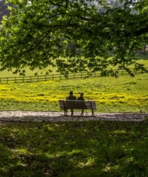 Jardins de Serralves
