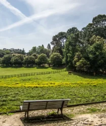 Jardins de Serralves