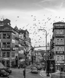 Porto à chegada a São Bento