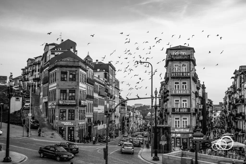 Porto à chegada a São Bento