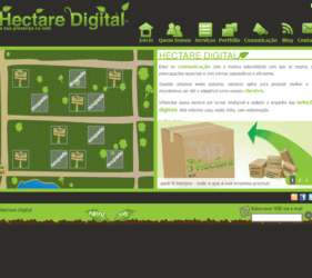 Site Hectare Digital 2010